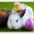 LUNDI 21 AVRIL - JOUR FERIE LUNDI de PAQUES